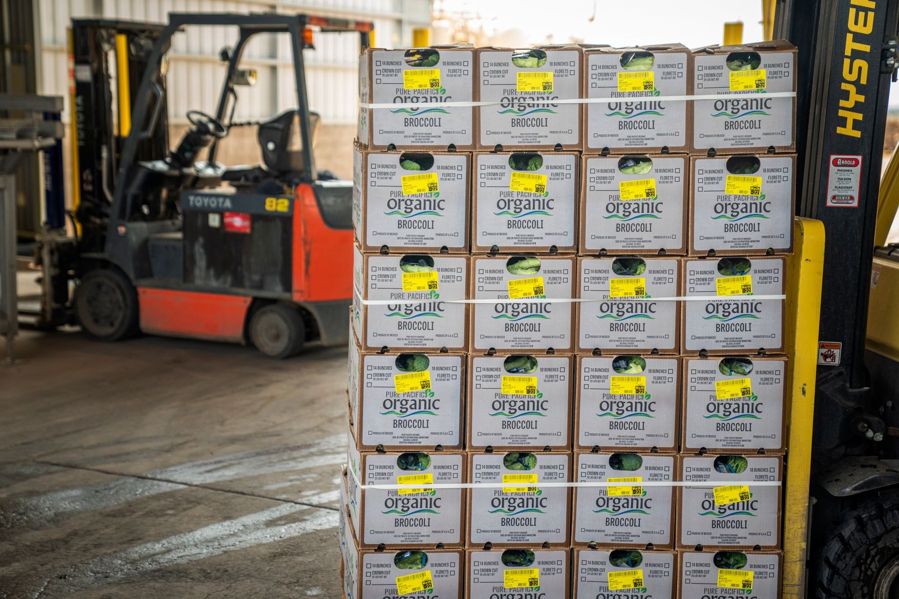 Forklifts stand beside stacked cartons of produce in a warehouse loading area.